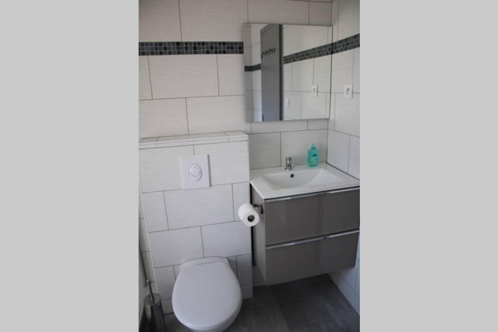 Appartement Spacieux, Proche Centre Ville